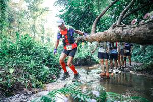 BIB: 
                            <button type="button" onclick="openModal(25438557)" class="btn btn-primary btn-sm float-right btn-popup" data-toggle="modal" data-target=".modal-high-quality">
                        <i class="fas fa-shopping-cart"></i> Add to Cart
                    </button>
                                            <button type="button" onclick="isThisMe(25438557, true)" class="btn btn-success btn-sm float-right btn-popup btn-isme hidden" data-toggle="tooltip" data-placement="bottom" title="นี่คือรูปของคุณใช่ไหม คลิกที่นี่เพื่อเอาเข้าอัลบั้ม">
                        <i class="fas fa-plus"></i> Add to album
                    </button>
                    <button type="button" onclick="isThisMe(25438557, false)" class="btn btn-warning btn-sm float-right btn-popup btn-isnotme hidden">
                        <i class="fas fa-ban"></i> Remove from album
                    </button>